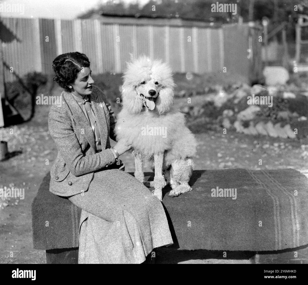 In Miss Lane’s Poodle Kennels, South Lodge, Buchan Hill, Crawley, Sussex Miss Lane mit internationalem Champion 'Duc de La Terrasse', jetzt verkauft an Mrs Sherman Hoyt aus New York für 5.000 Dollar am 4. Oktober 1933 Stockfoto