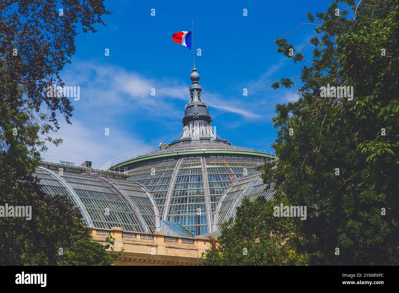 Frankreich, Ile-de-France, Paris. Das Grand palais... Le Dome du Grand palais Stockfoto