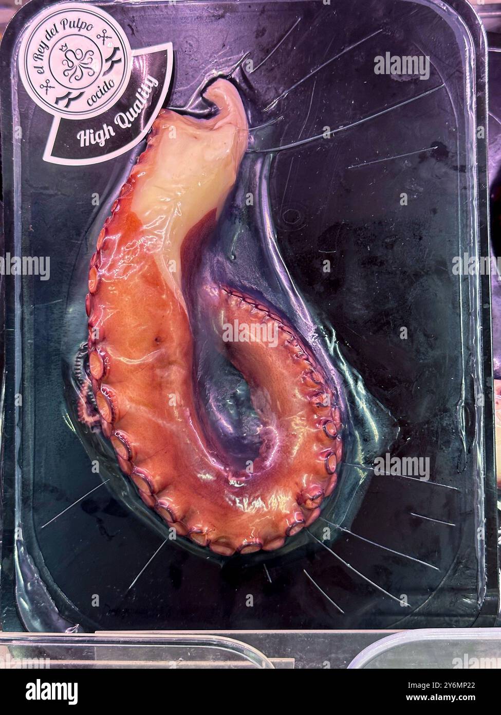 Spanien, Kraken-Tentakeln im Kühlbereich Stockfoto