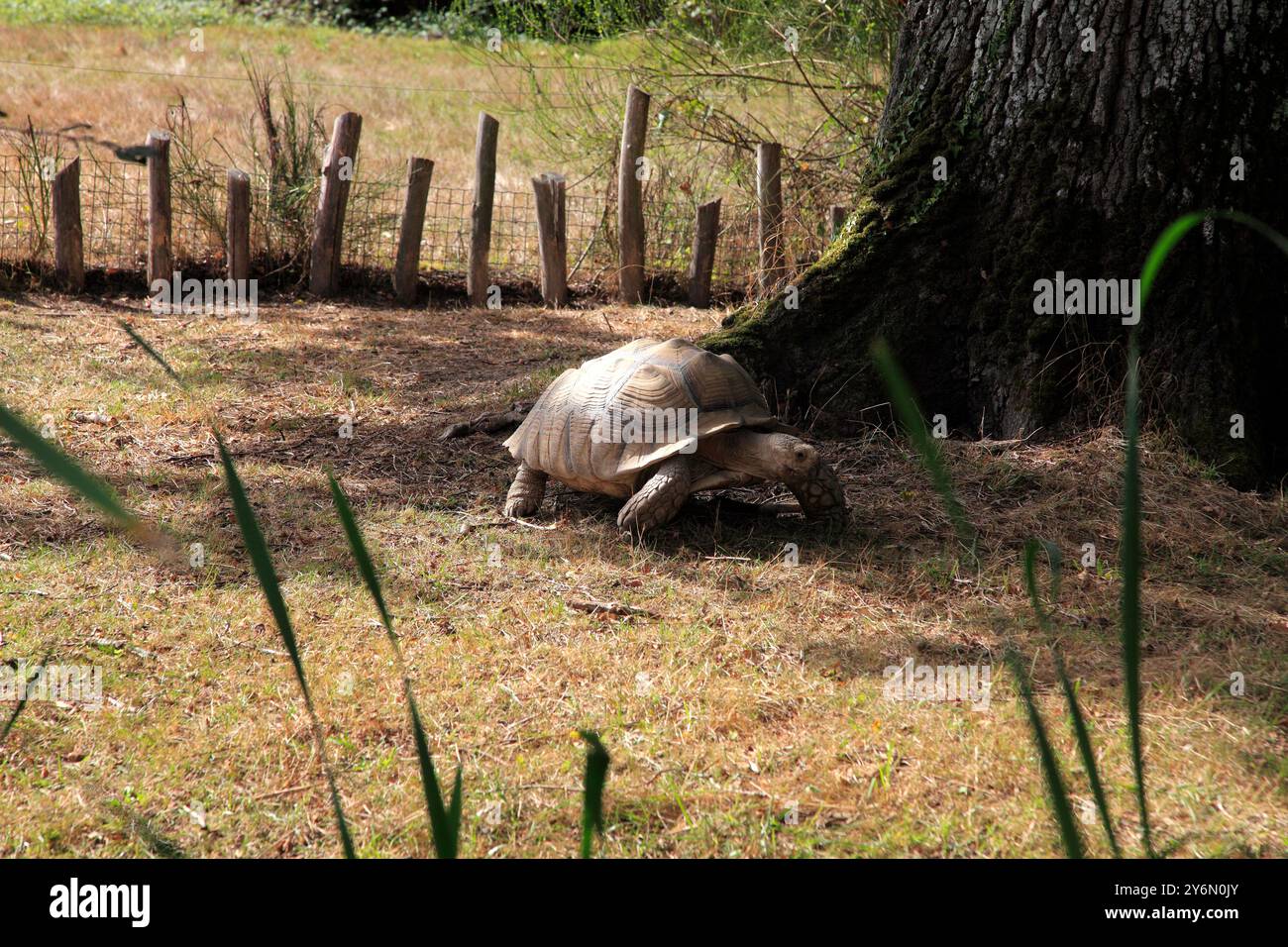 Frankreich, Centre Val de Loire, Indre (36), Berry, Obterre (azay le ferron) Haute touche Reserve Stockfoto