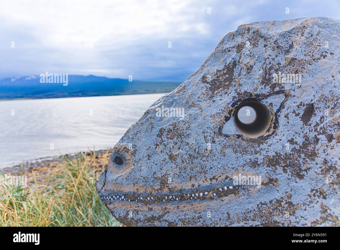 Island, nördliche Region, Akureyri, Stein, geformt wie ein Dinosaurierkopf, ein Loch, das anstelle des Auges durchbohrt wurde Stockfoto