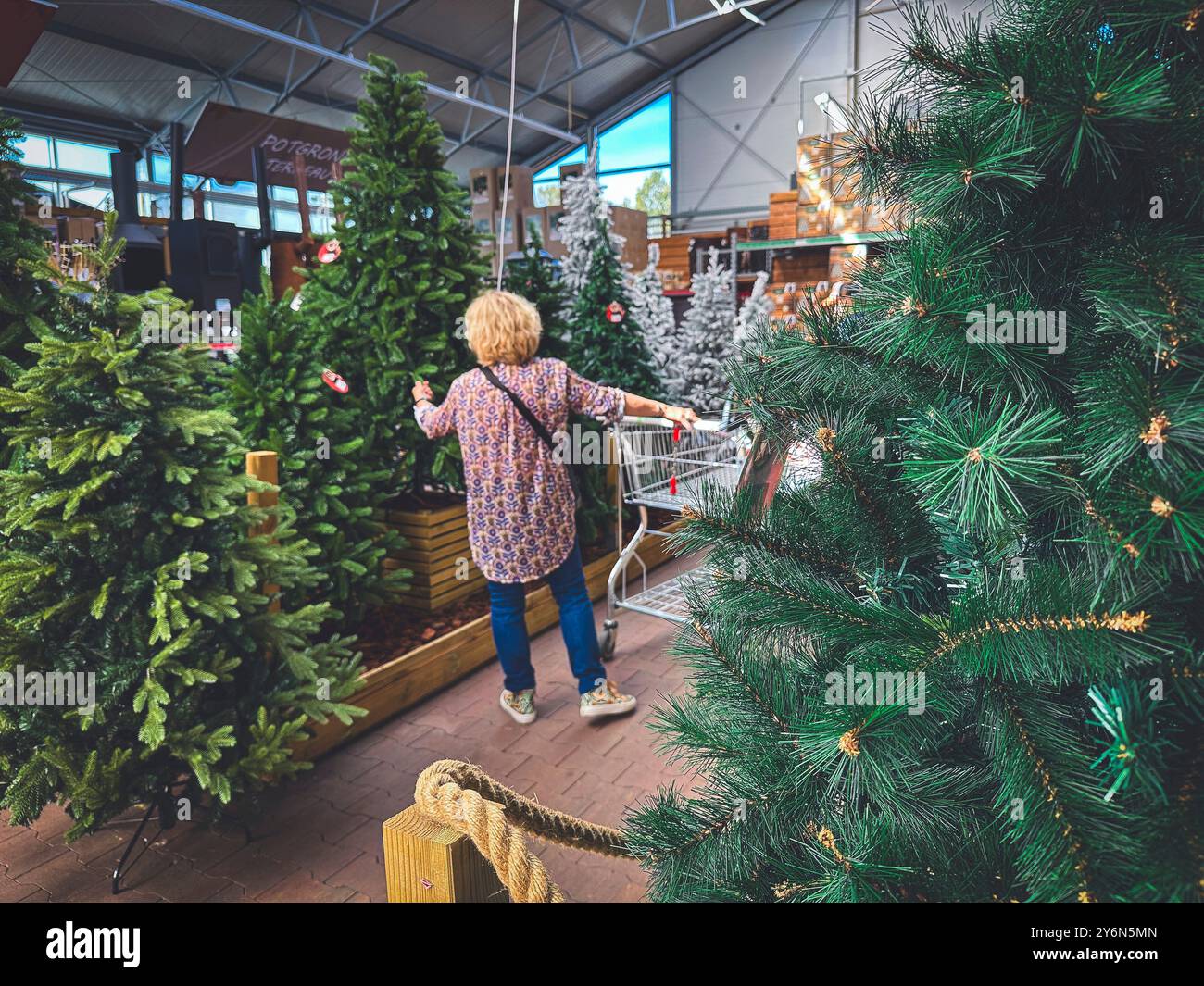 In einem Supermarktgang vor den Weihnachtsferien wählt eine Frau mit ihrem Wagen einen Weihnachtsbaum aus. Stockfoto