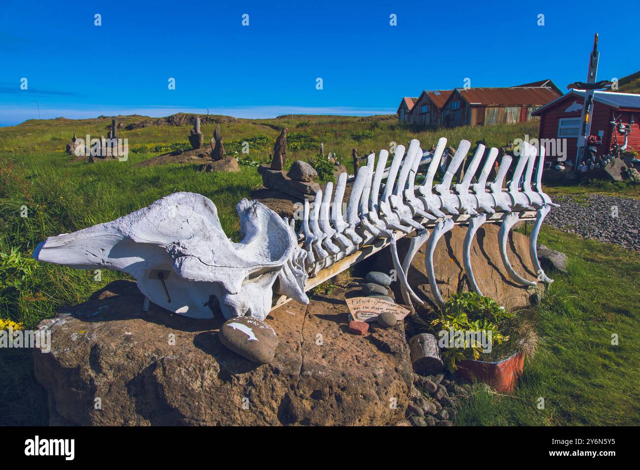 Island, Austurland, Djúpivogur, Walskelett Stockfoto