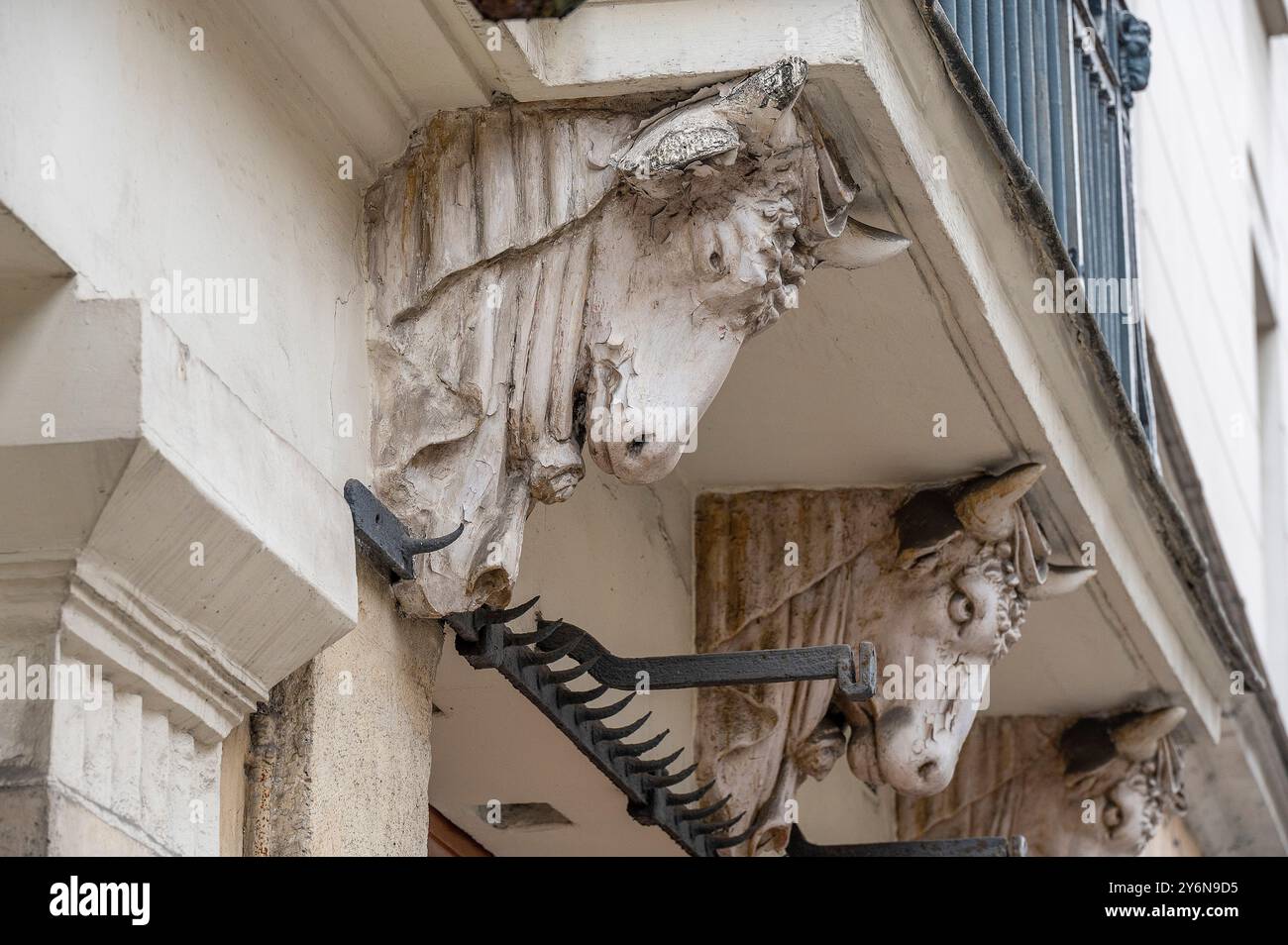 Frankreich. Paris. Rue de Turenne. 3. Bezirk. Bei Nummer 67, Rinderköpfe und Haken aus einer ehemaligen Metzgerei Stockfoto