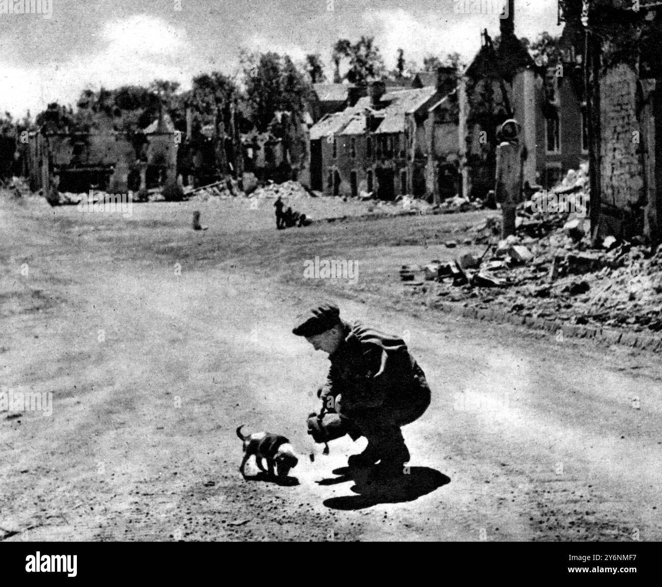 Szenen aus den Kampfzonen britischer und amerikanischer Armeen in der Normandie Ein britischer Soldat, der einem einsamen Welpen im verwüsteten Dorf Tilly Sur Seulles einen Drink schenkt, kürzlich Schauplatz wilder Straßenkämpfe Juli 1944 ©2004 Topfoto Stockfoto
