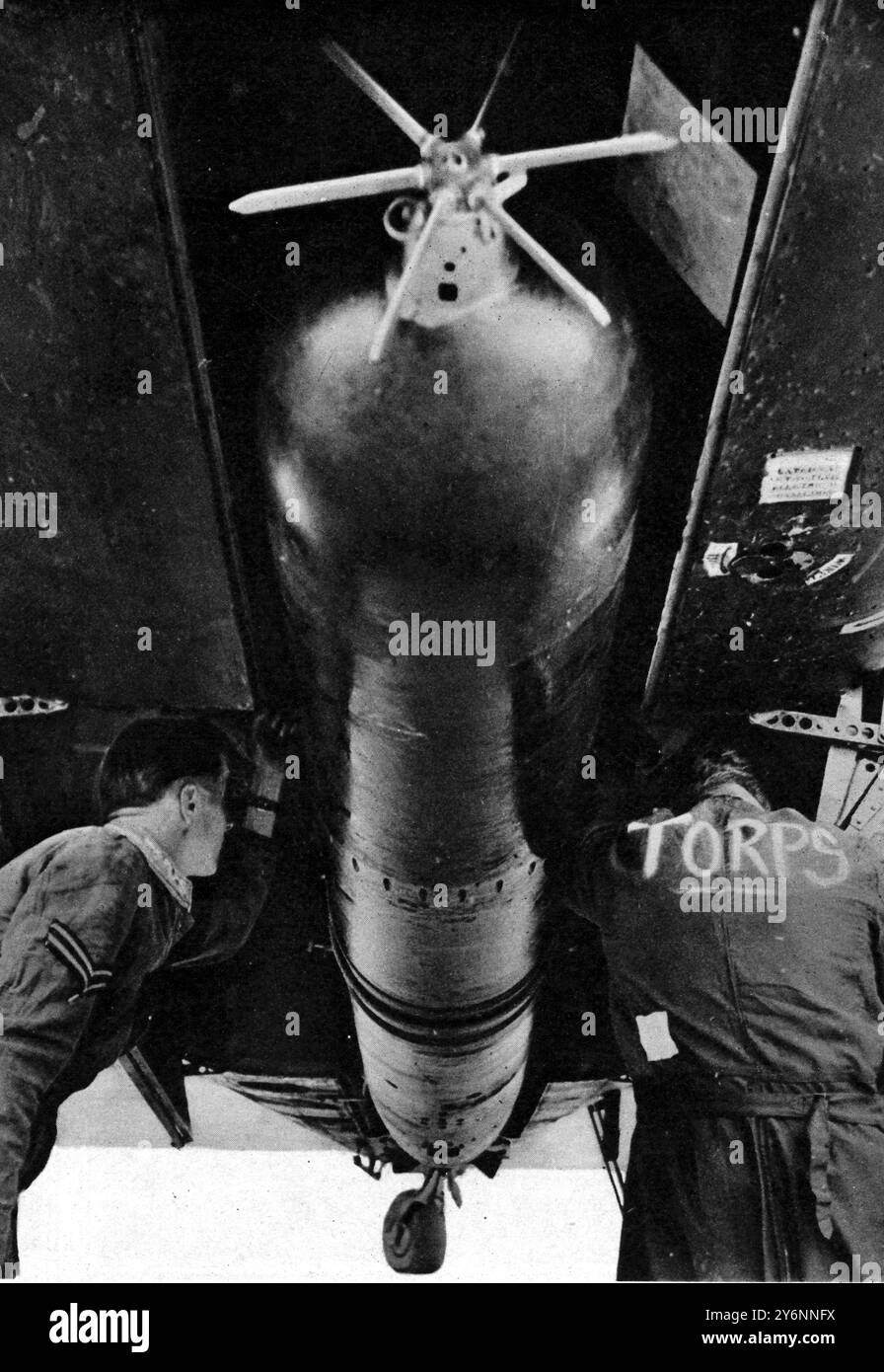 Der riesige Torpedo, der zusammengeschmolzen und einsatzbereit ist, wird von Flugzeugleuten eng in sein Auslöseschub unter dem Flugzeug Beaufort im Oktober 1941 eingebaut Stockfoto