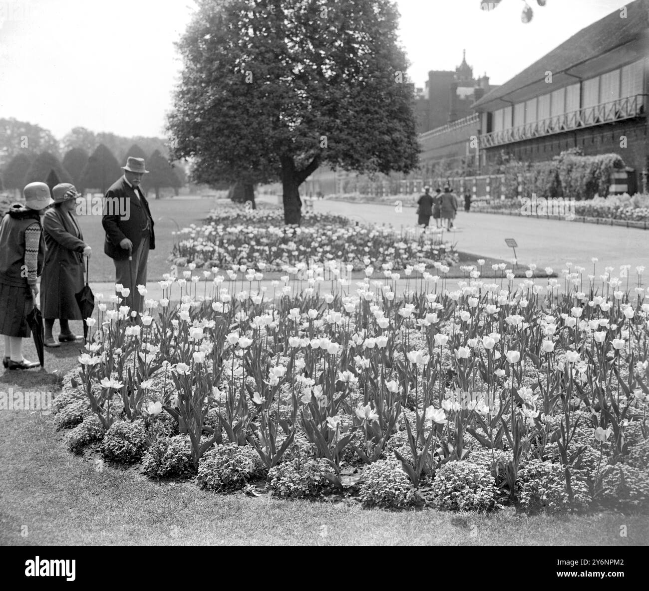 Frühlingszeit im Hampton Court. London 23. Mai 1929 Stockfoto