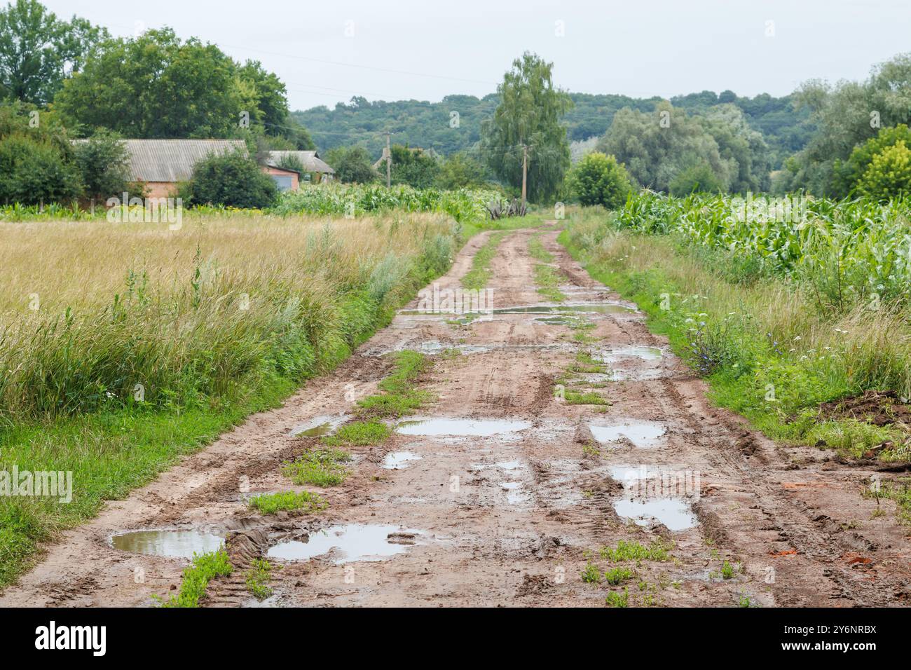 Kaputte Feldstraße im Dorf mit vielen schlammigen Pfützen nach Regen. Stockfoto