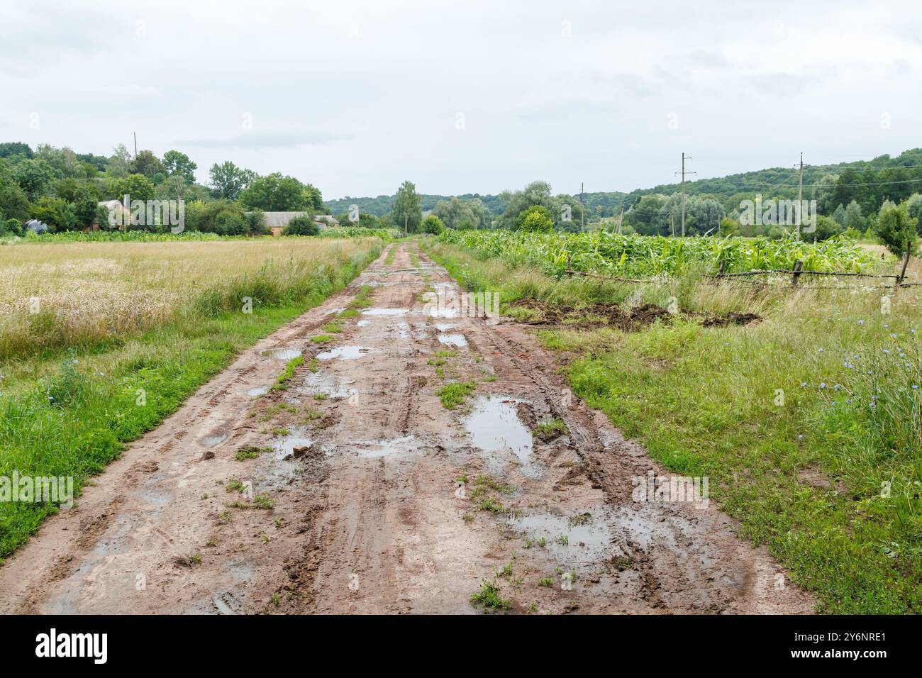 Kaputte Feldstraße im Dorf mit vielen schlammigen Pfützen nach Regen. Stockfoto