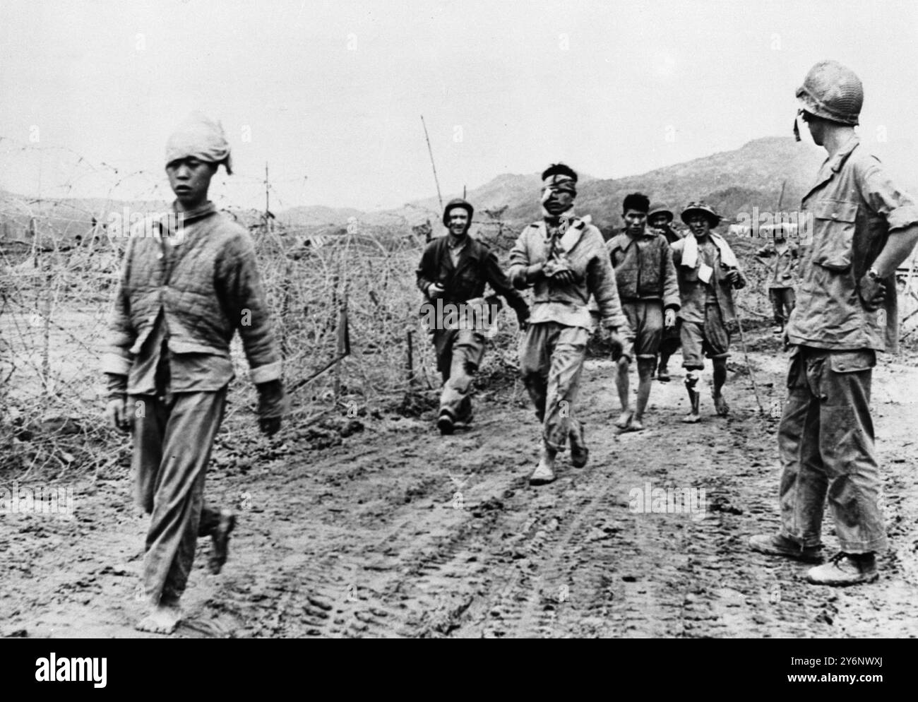 Exemplare der fanatischen Horden, die die Selbstmordanschläge auf Dien Bien Phu machten. Diese Kommunisten wurden von Männern auf Patrouille gefangen genommen und kehrten am 3. April 1954 in die Umgebung zurück Stockfoto
