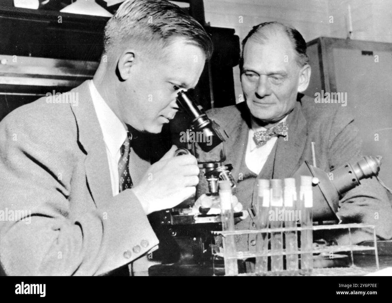 Dr. Thomas H Weller (links) schaut durch das Mikroskop auf Polio-Virus in Gewebekultur im Forschungslabor, während Dr. John F Enders am 22. Oktober 1954 schaut Stockfoto