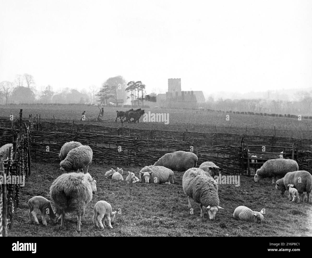 Die Farm-Szene in Kent im Frühjahr. Zwischen den Kriegen Stockfoto