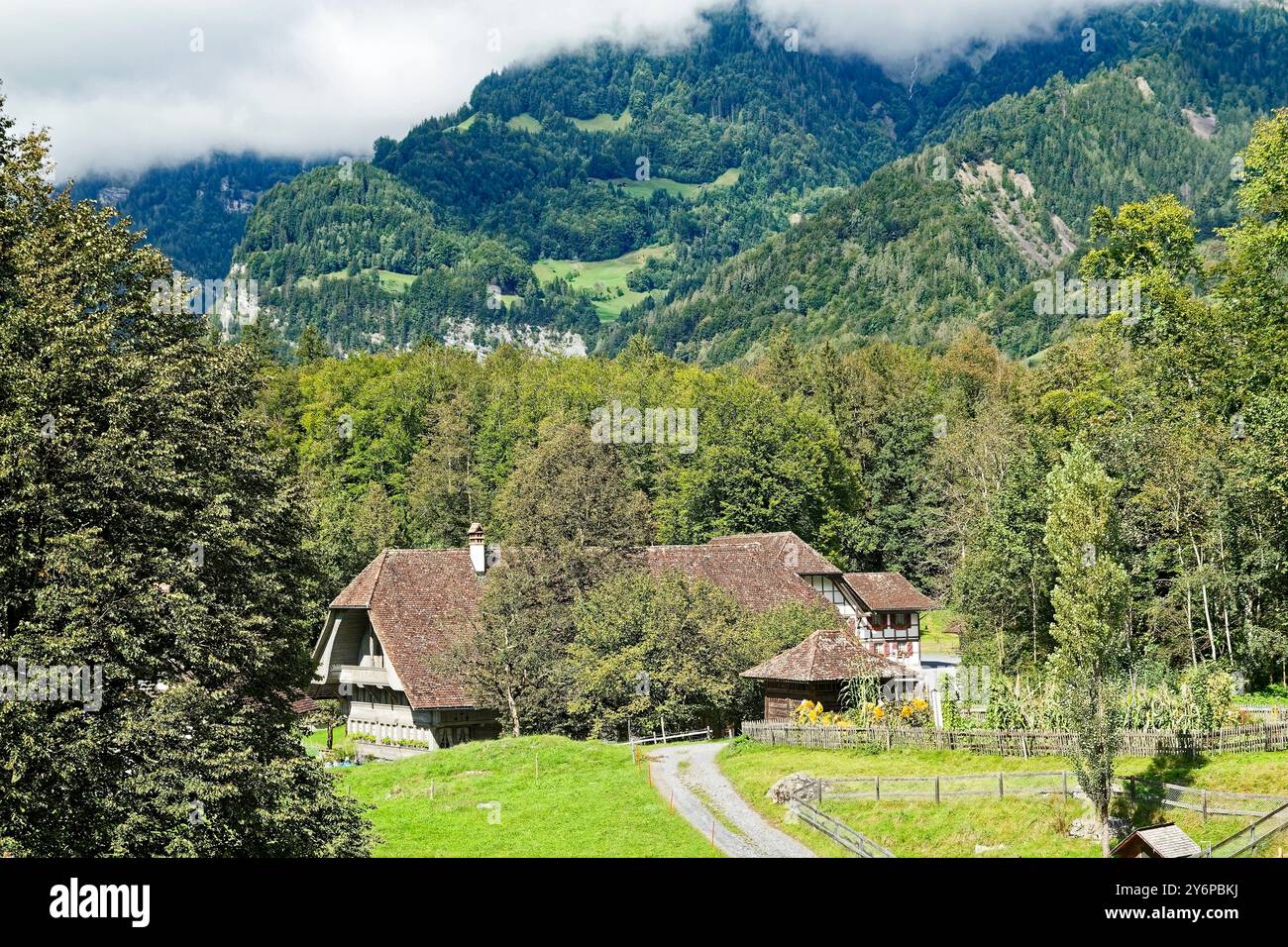 Ländliche Szene, Landschaft, Westschweizer Raum, alte Gebäude, Berge, Bäume, Gras, Grün, Wolken, Ballenberg Swiss Open-Air Museum, Europa, Bri Stockfoto