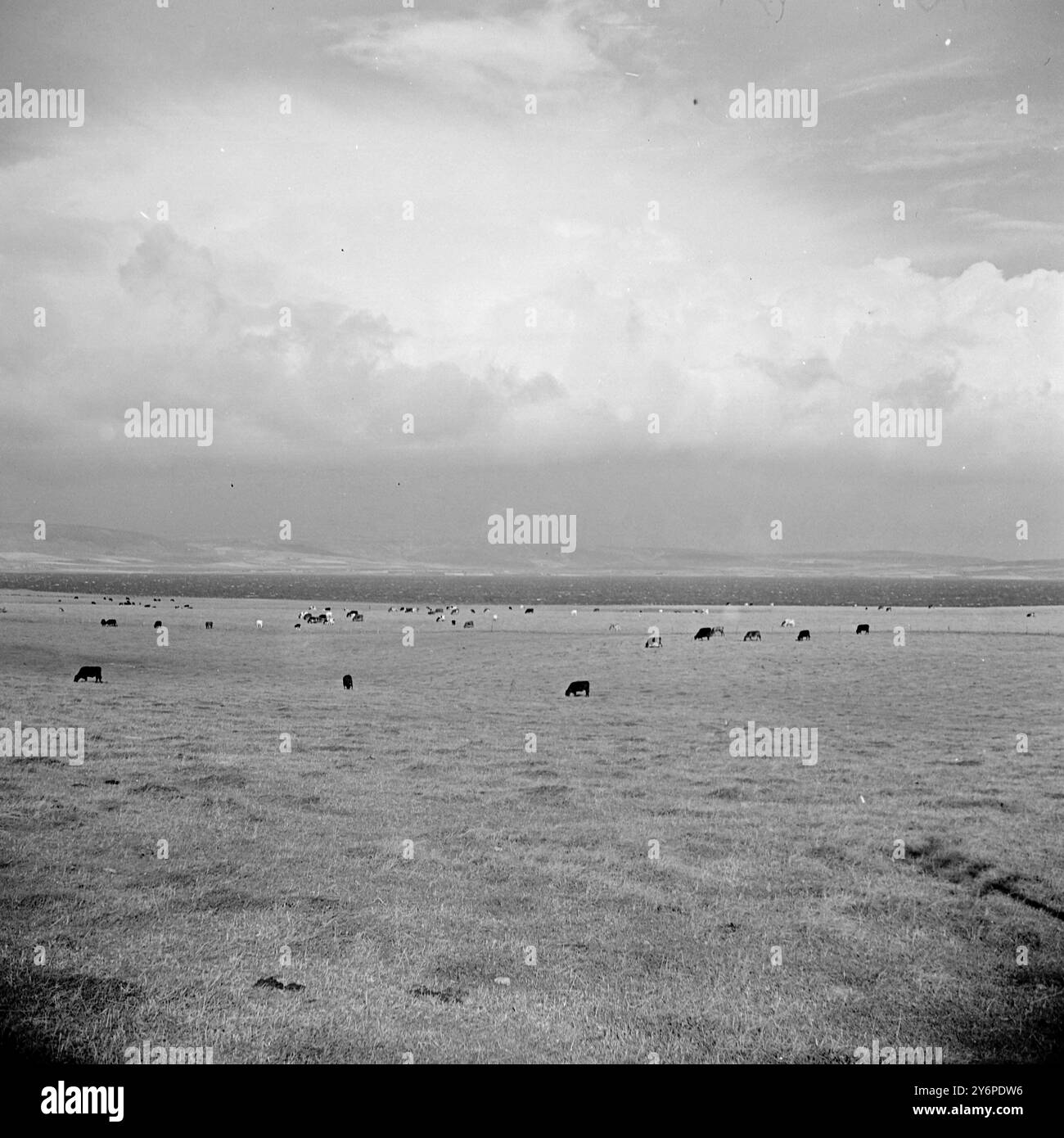 Blick Auf Orkney. 1. Januar 1947 Stockfoto