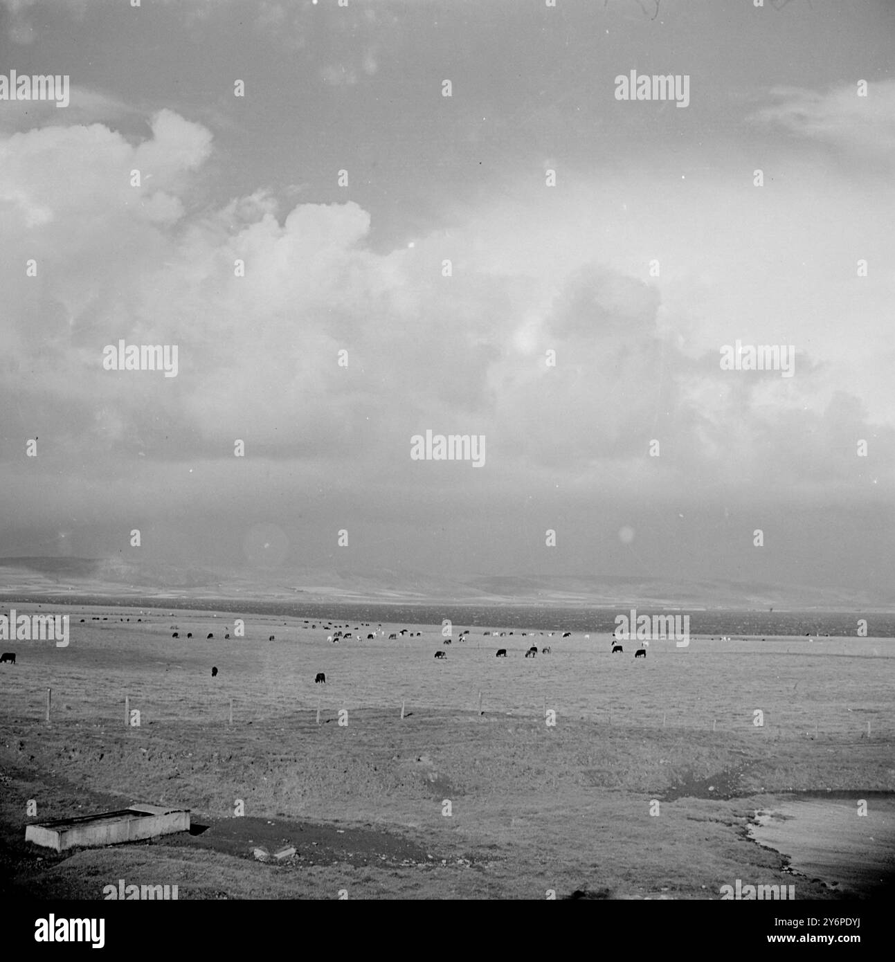 Blick Auf Orkney. 1. Januar 1947 Stockfoto
