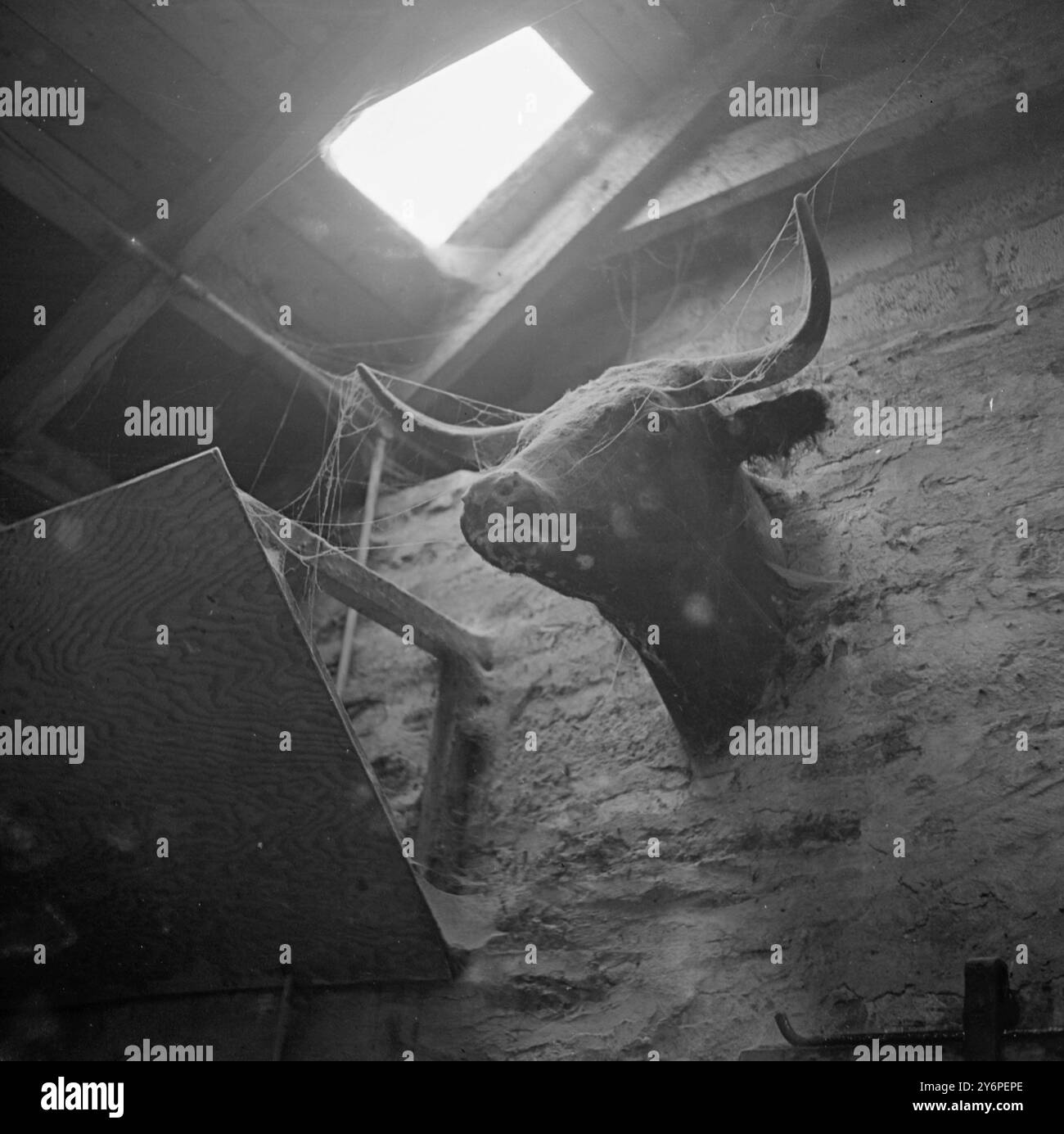 Orkney Market 6. Oktober 1947 Stockfoto