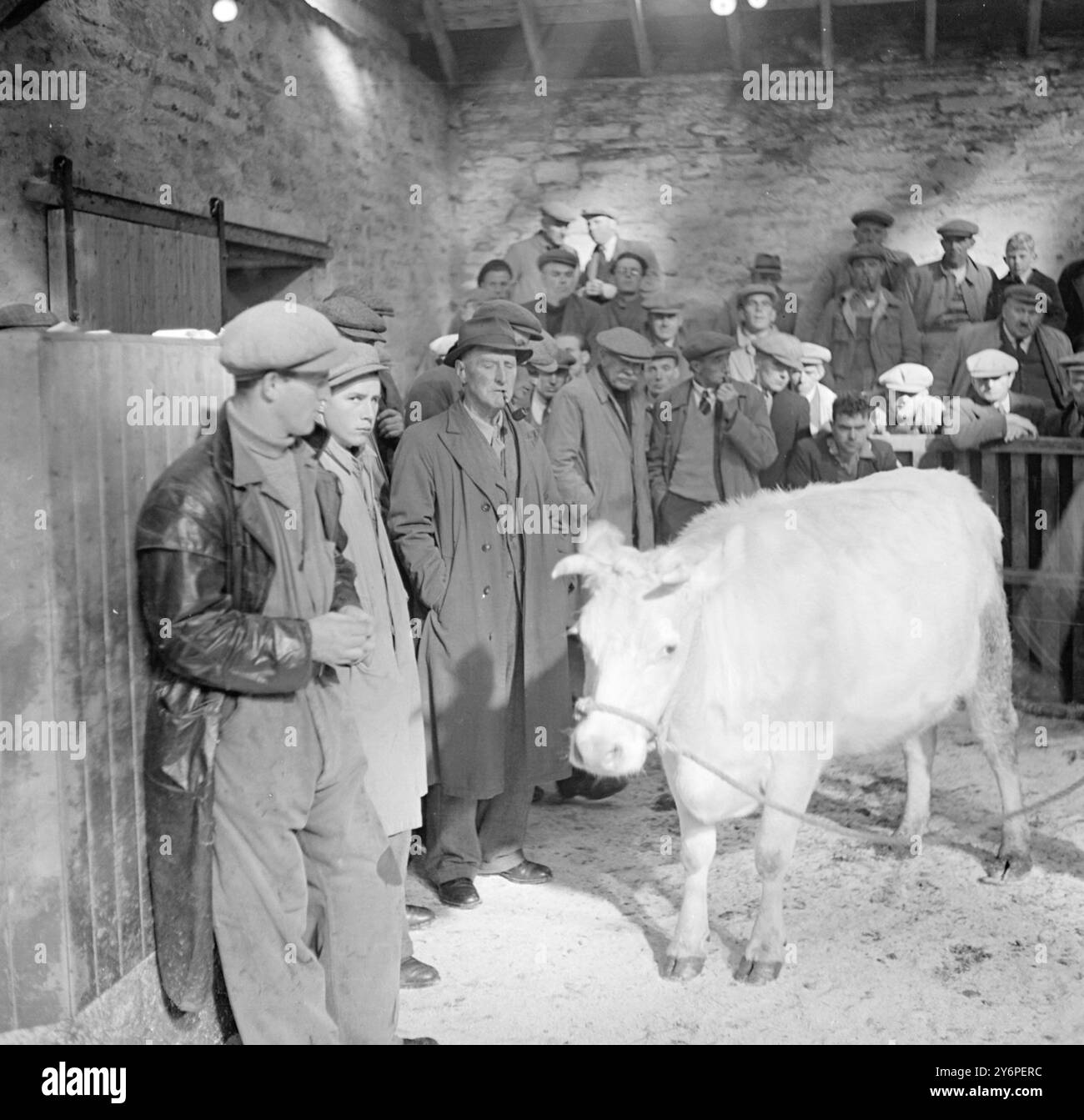 Orkney Market - - - - 6. Oktober 1947 Stockfoto