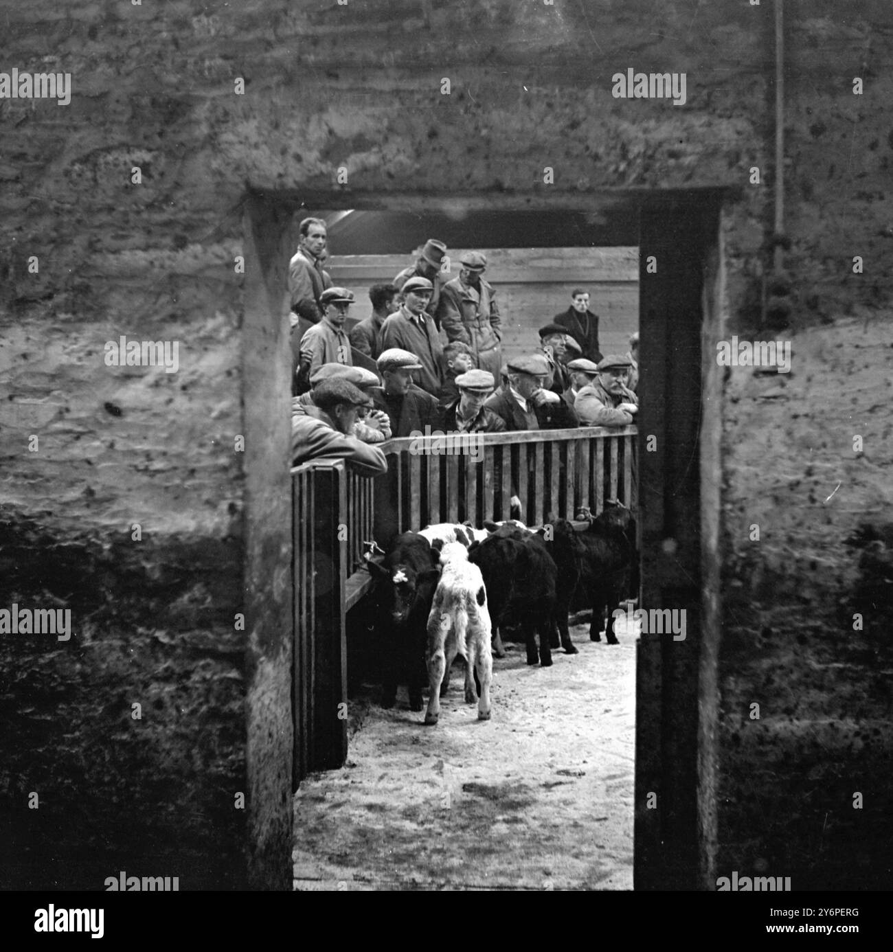 Orkney Market - - - - 6. Oktober 1947 Stockfoto