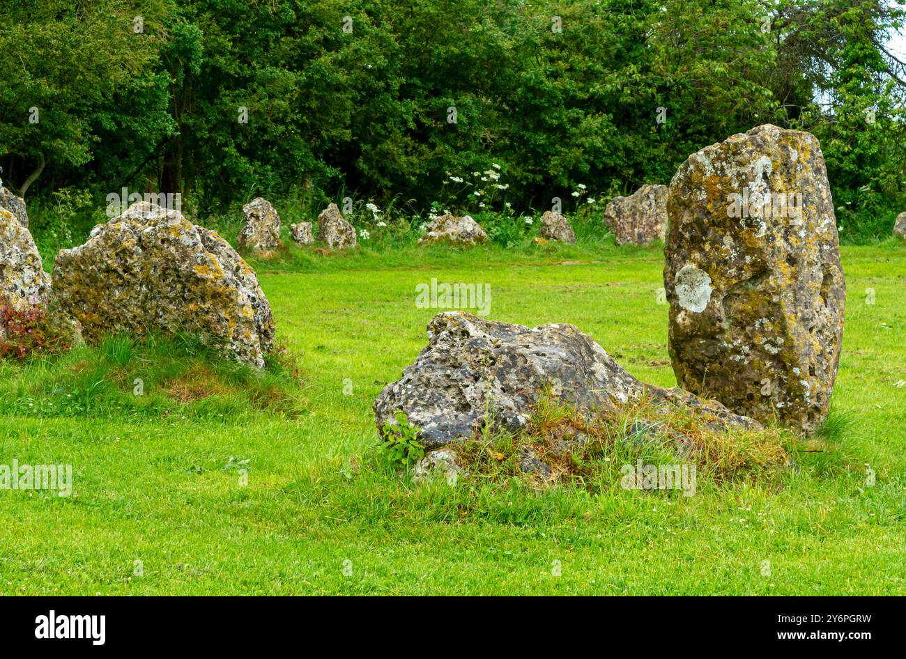 The King's Men, ein Steinkreis, der im späten Neolithikum oder frühen Bronzezeit errichtet wurde und Teil der Rollright Stones in Oxfordshire, Großbritannien, ist Stockfoto