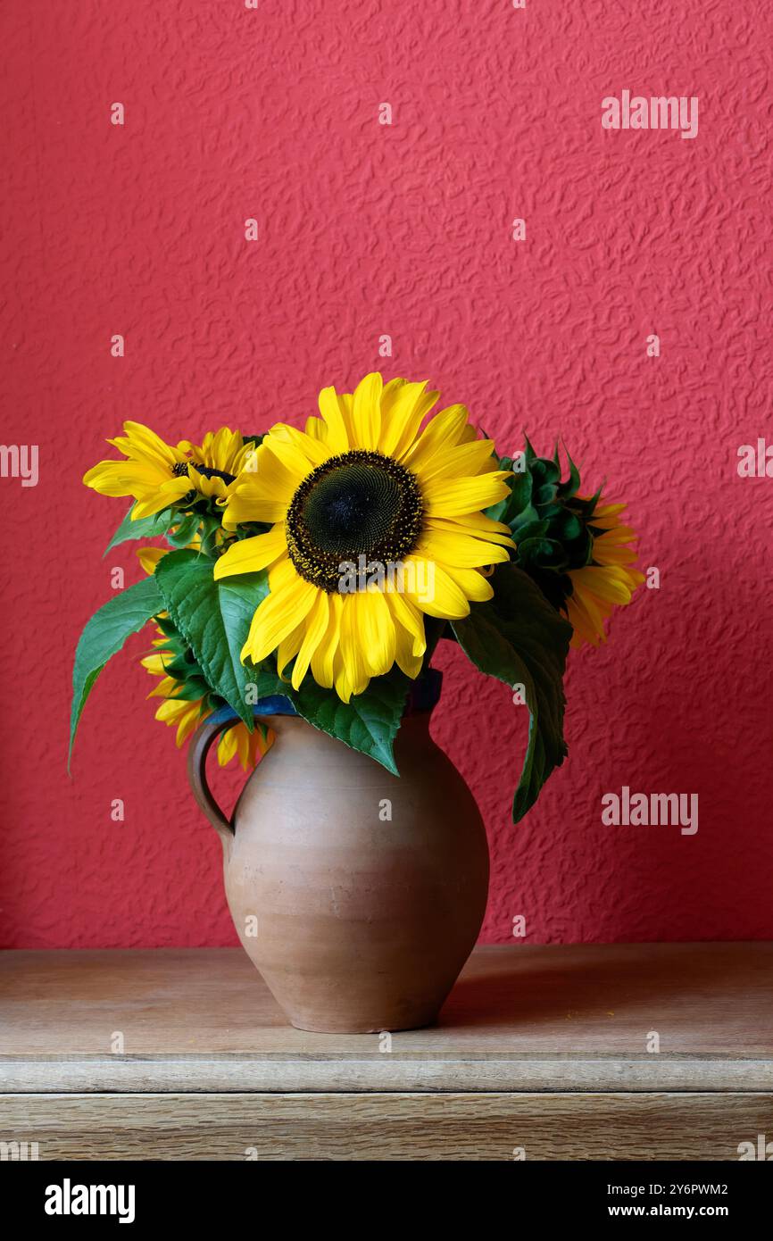 Ein Stillleben aus Sonnenblumen in einer Töpfervase vor einem rot strukturierten Hintergrund mit Kopierraum darüber Stockfoto