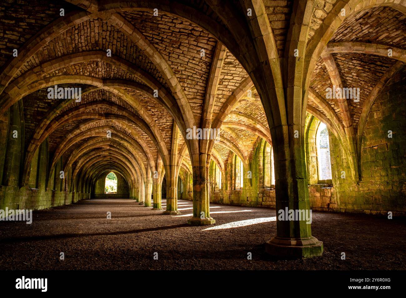 Springbrunnen Abbey Cloisters oder Cellarium. Ripon, Yorkshire Stockfoto