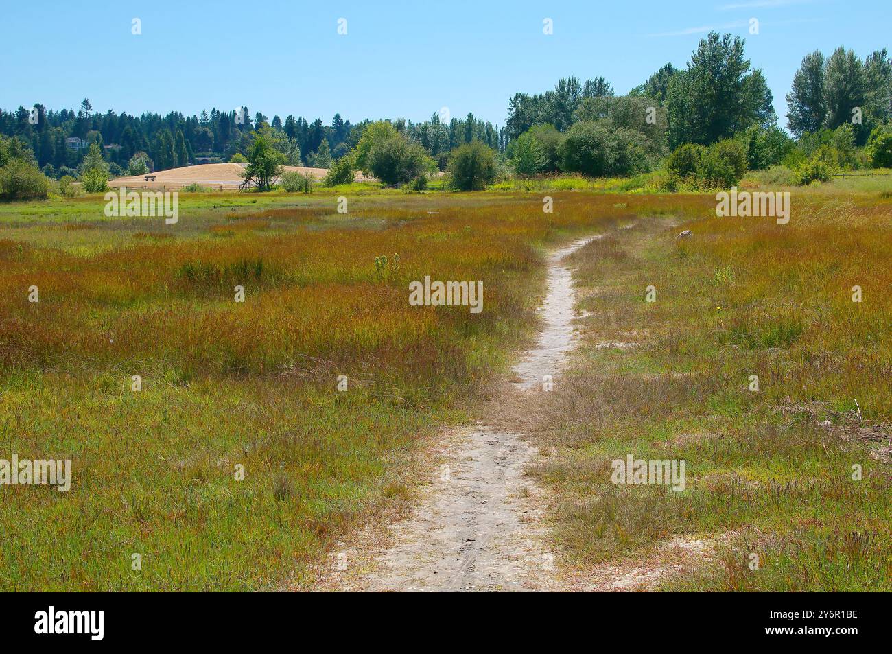 Der Blackie Spit Park, Teil der Boundary Bay, ist eines der beliebtesten Vogelbeobachtungsgebiete Kanadas. Surrey, British Columbia, Kanada Stockfoto