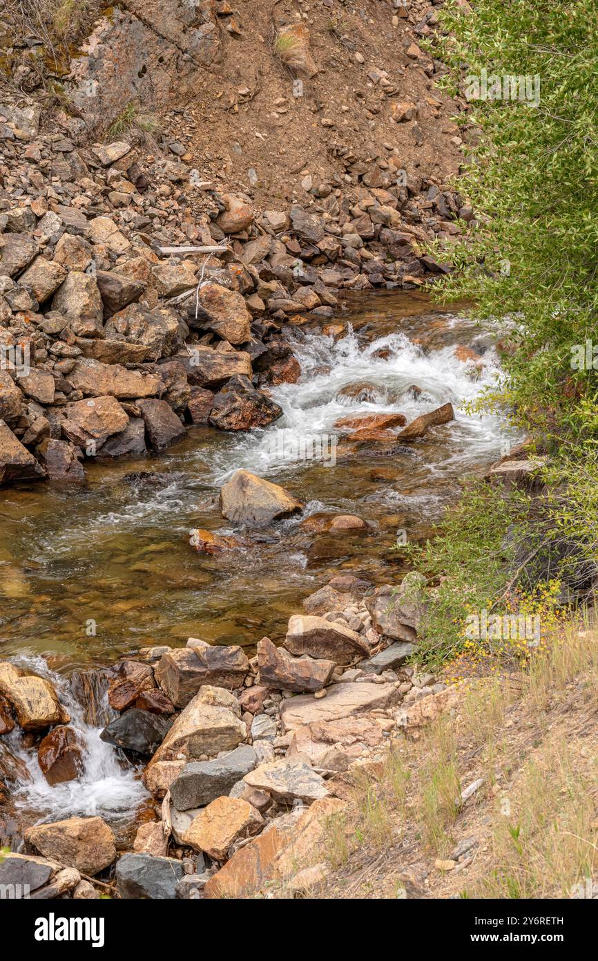 Wechselnde jahreszeitliche Farben in einer Landschaft in der ländlichen Landschaft des Bundesstaates Colorado. Stockfoto