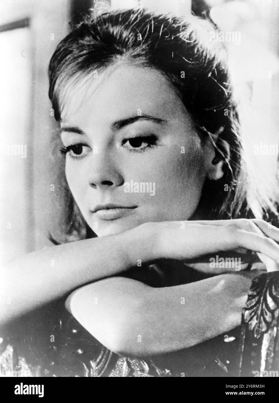 SCHAUSPIELERIN NATALIE WOOD PLENDOR IN THE GRAS / 8. MÄRZ 1962 Stockfoto