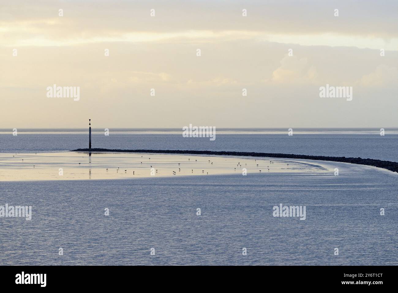 Abendstimmung am Wattenmeer, Steingroyne mit Meereszeichen, Nordsee, Norddeich, Niedersachsen, Deutschland, Europa Stockfoto