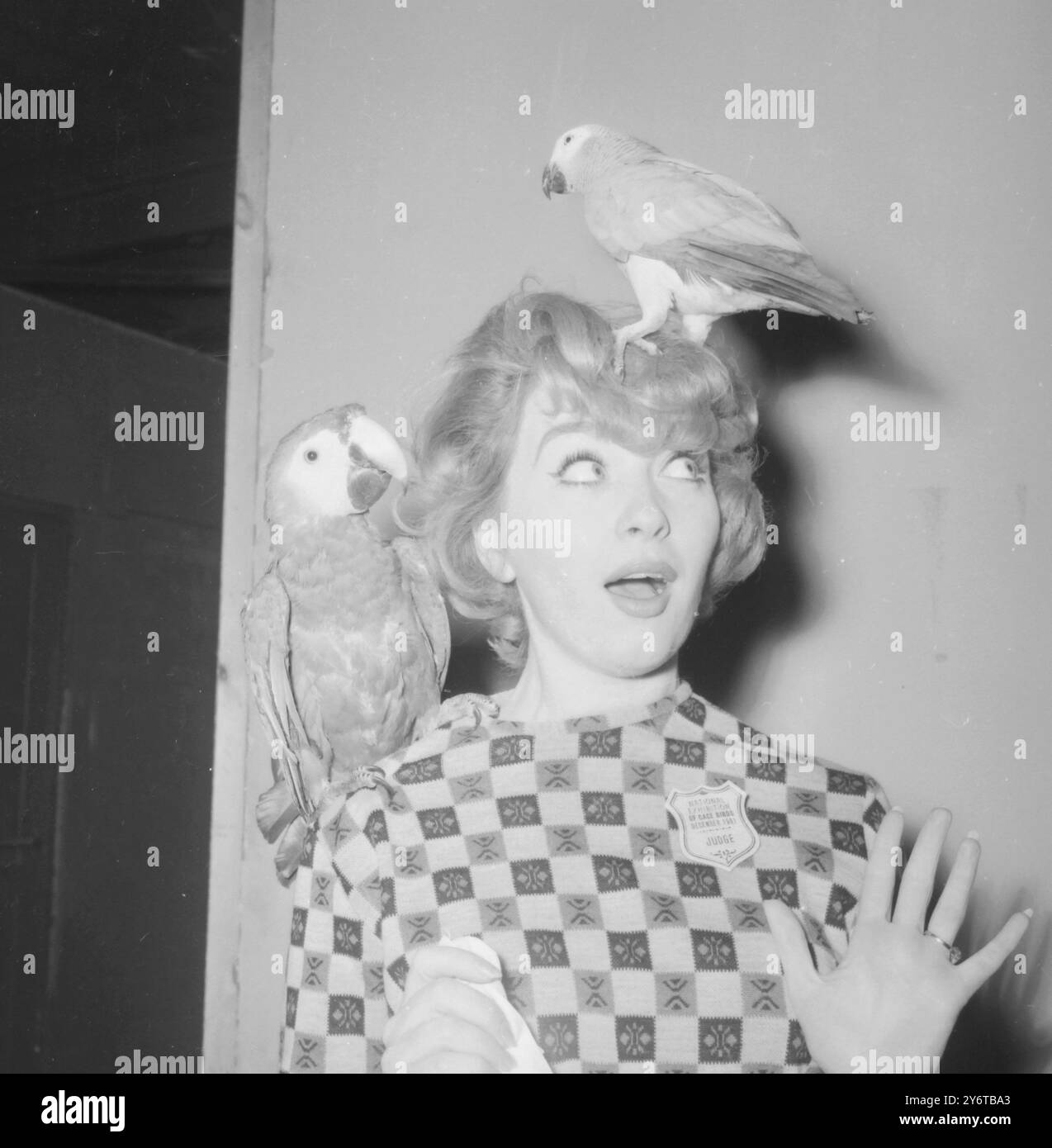 POPSÄNGERIN MARION RYAN BEI SHOW 2 BIRDS AM 7. DEZEMBER 1961 Stockfoto