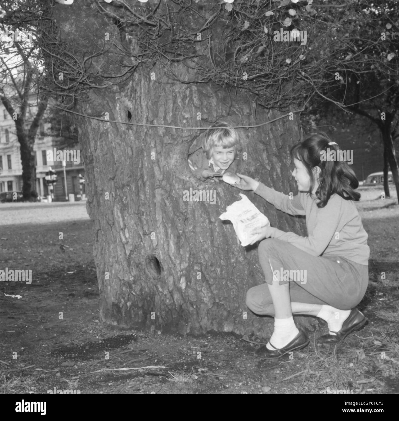 KINDER, DIE IN EINEM BAUM SPIELEN, 23. NOVEMBER 1961 Stockfoto