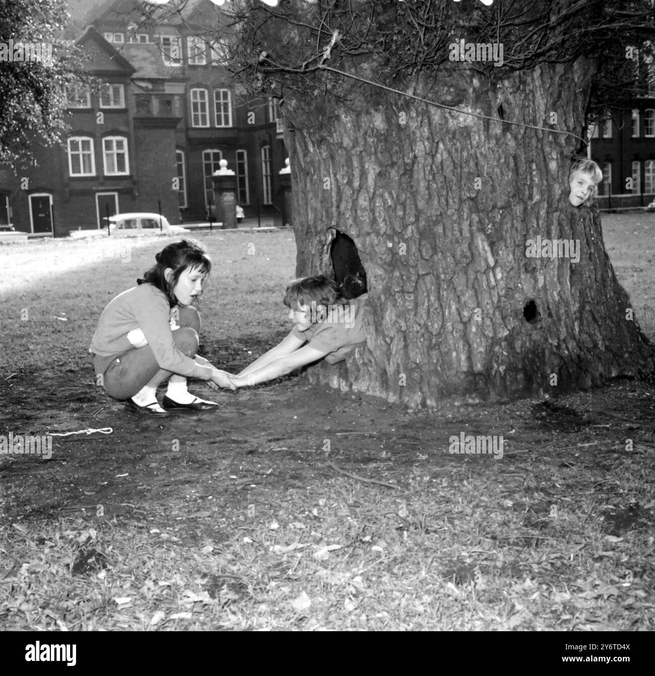 KINDER, DIE IN EINEM BAUM SPIELEN, 23. NOVEMBER 1961 Stockfoto