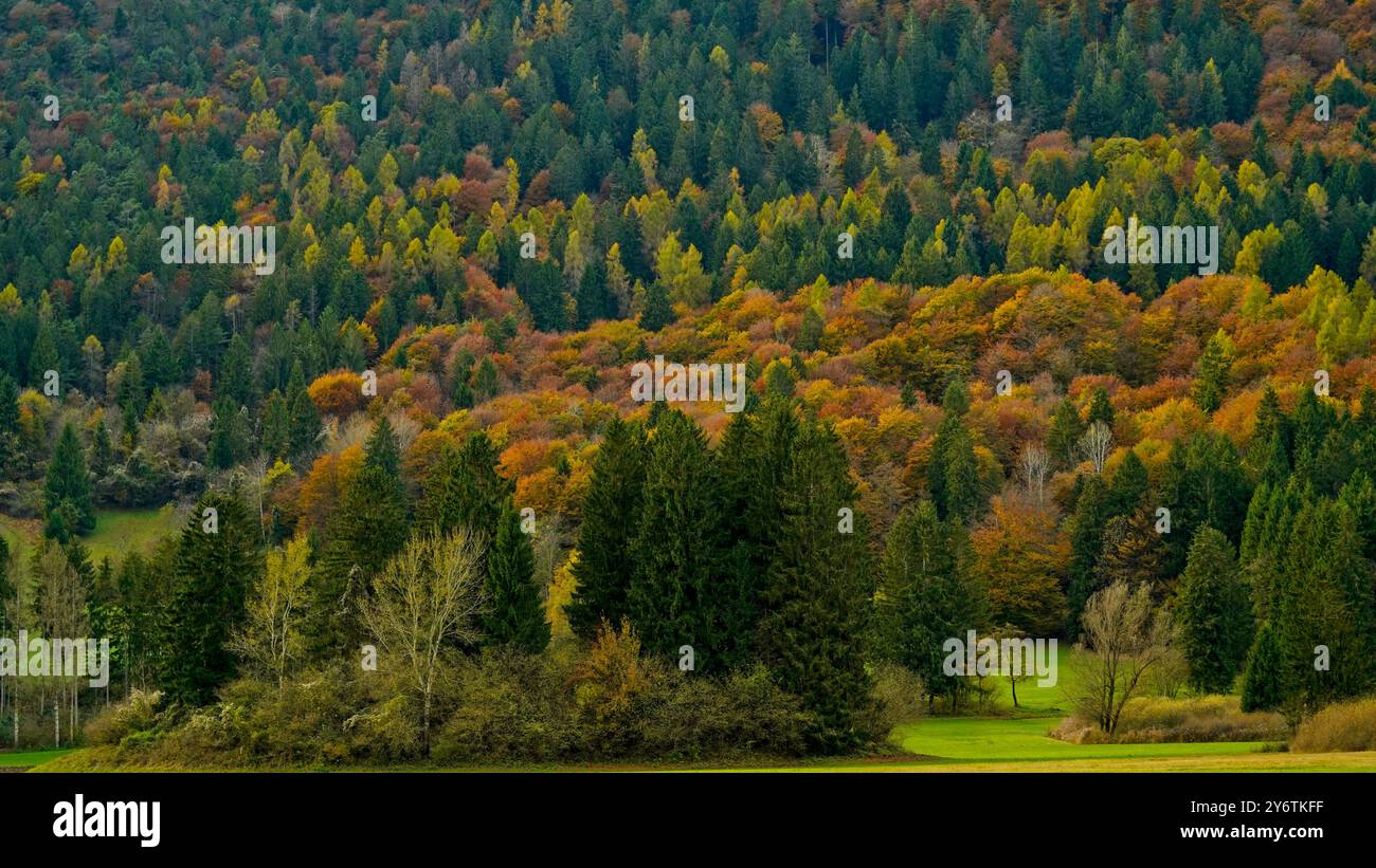 Archäologischer Naturpark Fiavé. Herbstlandschaft. Provinz Trient. Trentino Südtirol, Italien Stockfoto