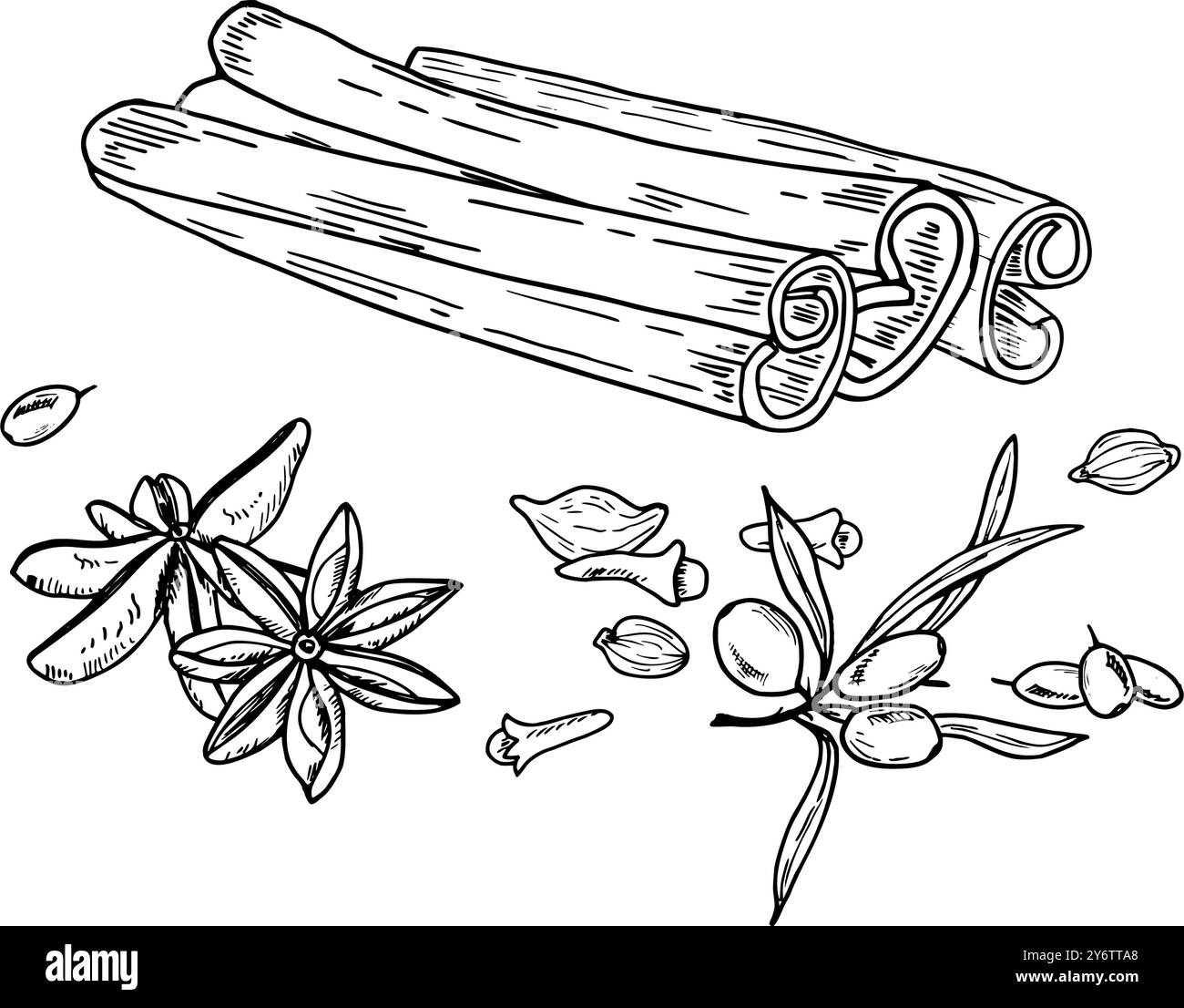 Einfarbige Zimtstangen, Sanddorn, Nelken, Sternanis, Kardamomkerne. Handgezeichnete isolierte Abbildung Stock Vektor