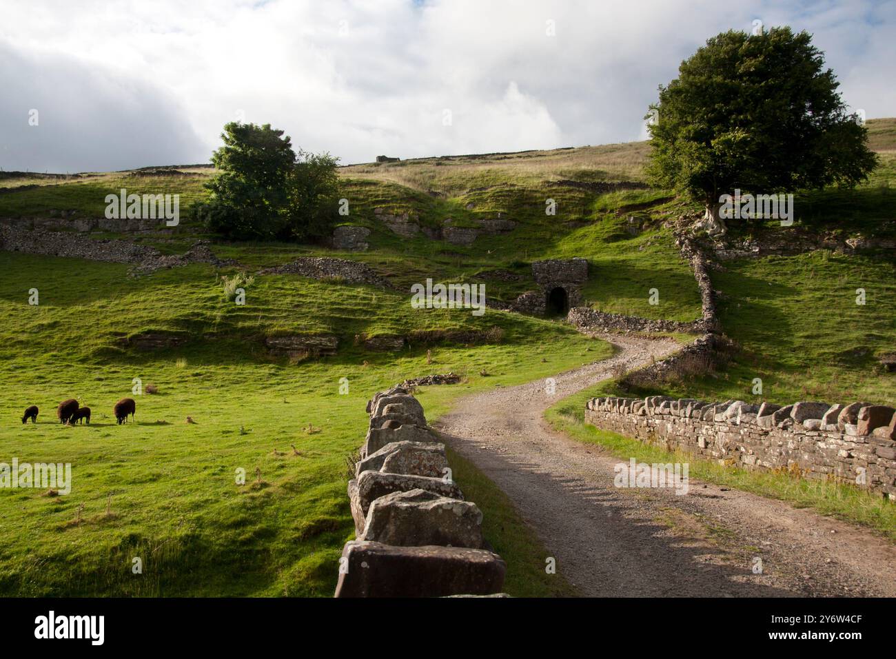 Kalköfen und alte Minen an der B6270 Straße von Keld nach Kirby Stephen, Swaledale, Yorkshire Dales, England Stockfoto