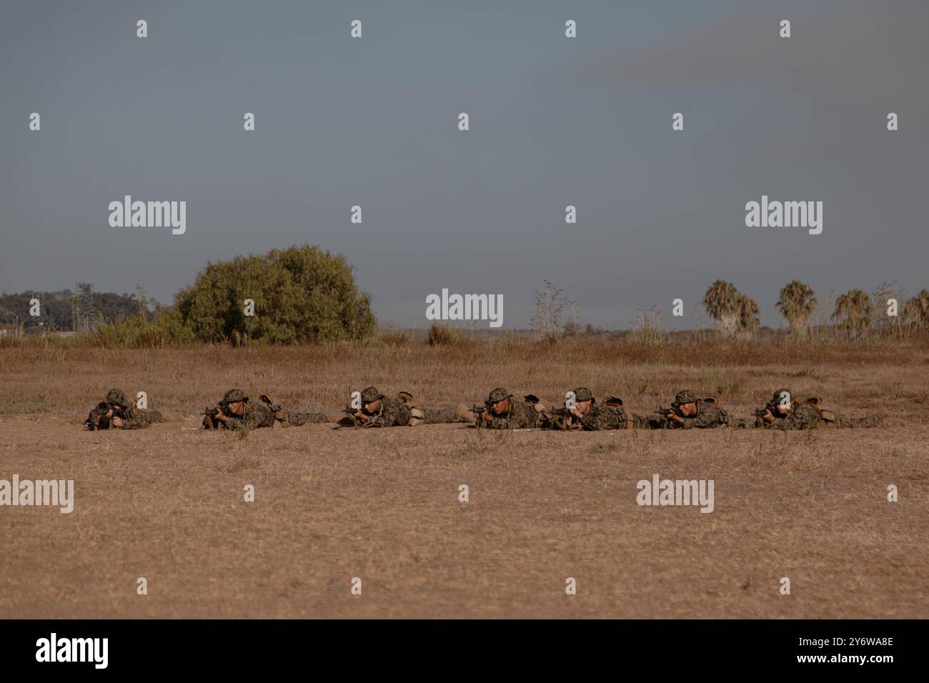 Das U.S. Marine Corps rekrutiert mit der Bravo Company, 1. Rekrut Training Battalion, und sieht mit ihren Gewehren während einer Graswoche im Marine Corps Base Camp Pendleton, Kalifornien, 4. September 2024. Die Rekruten nahmen an der Graswoche Teil, um ihre Geschicklichkeitsfähigkeiten zu verbessern, indem sie sich an die Ausrüstung ihres Gewehrs gewöhnten und sich auf Scheinziele einstellten, bevor sie sich auf die Reichweite für die Gewehrqualifikation begeben. (Foto des U.S. Marine Corps von CPL. Elliott A. Flood-Johnson) Stockfoto