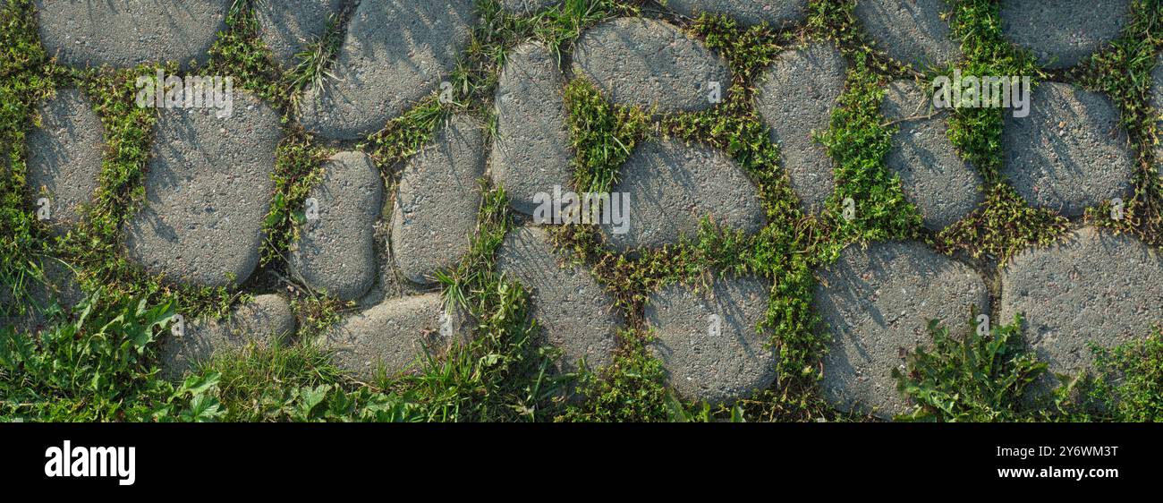 Grauer Steinsteinpfad, Hintergrund mit einem Haufen grüner Gras Stockfoto