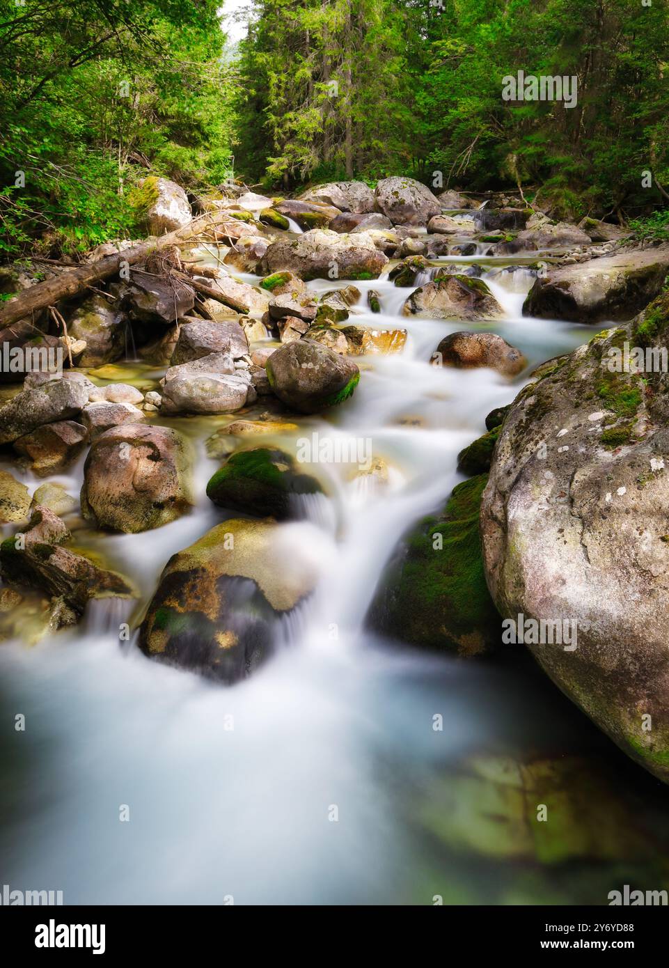 Wunderschönes fließendes Wasser an bergigen Orten, lange Exposition von schnellen starken Strömen. Fluss in den Bergen, Wald im Hintergrund Stockfoto