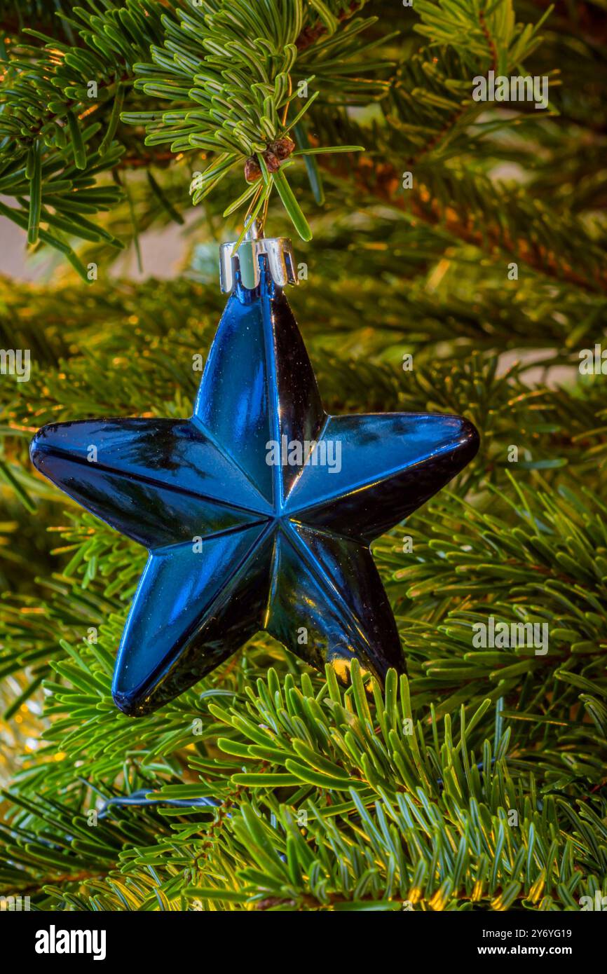 Nahaufnahme eines blauen Weihnachtssterns als Dekoration in einem Weihnachtsbaum Stockfoto