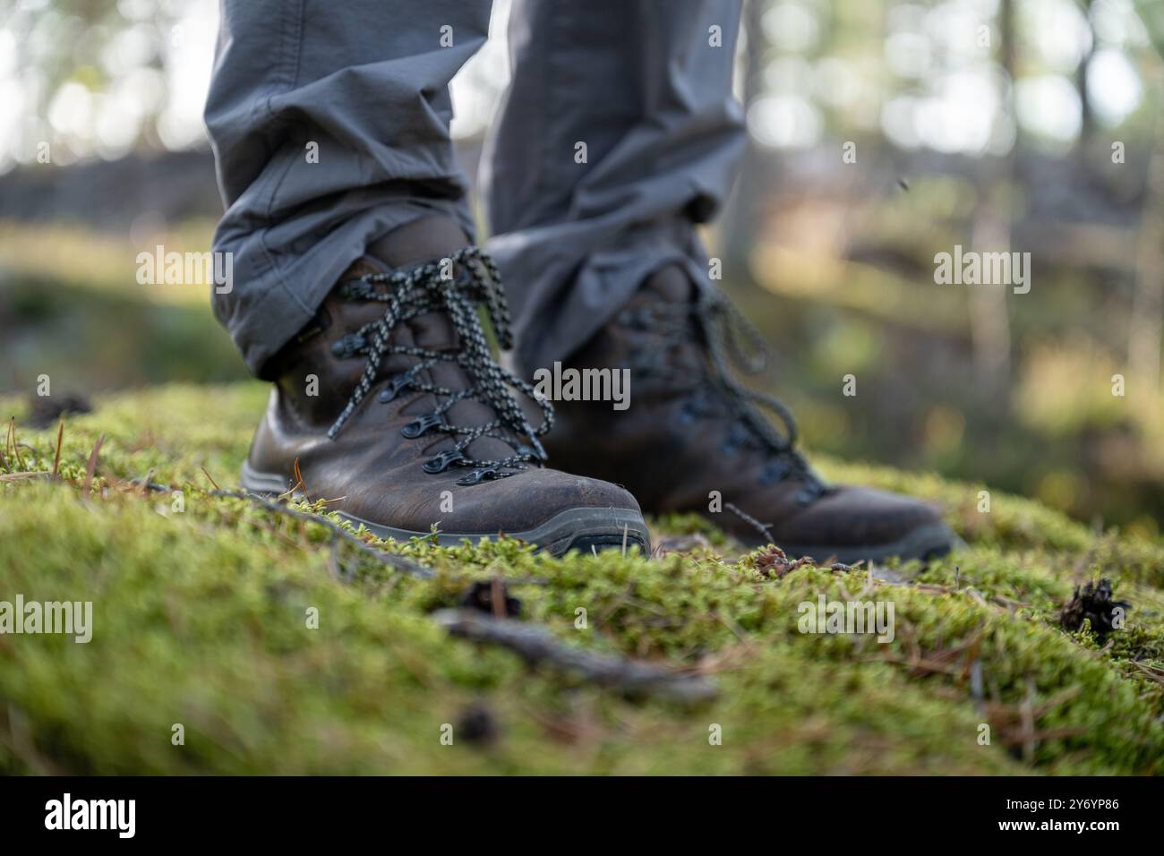 Nahaufnahme von Wanderschuhen, die auf grünem Moos in einem Wald stehen Stockfoto