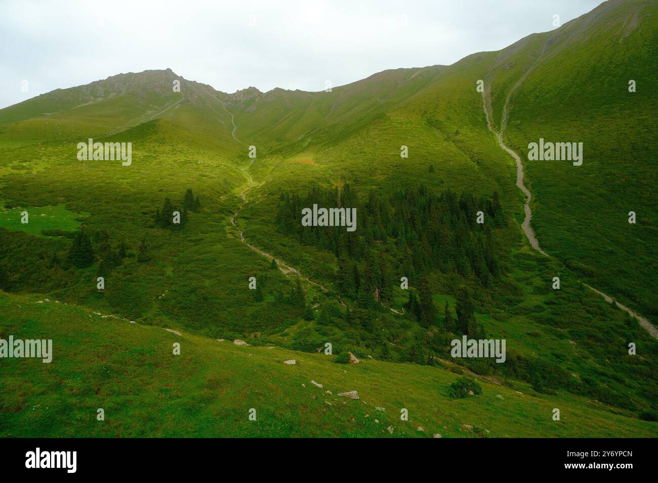Grüne Berge in Kirgisistan, schöne Strecke Stockfoto