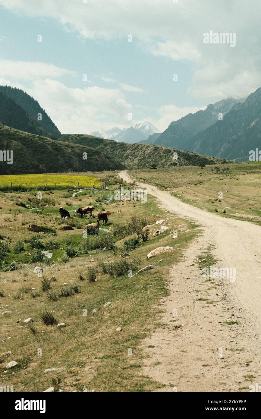 Wunderschöner Panoramablick auf eine gewundene Straße und die majestätischen Berge Stockfoto