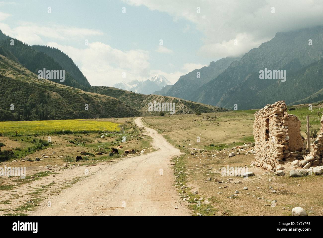 Malerische Straße, die in die majestätischen Berge mit üppigem Grün führt Stockfoto