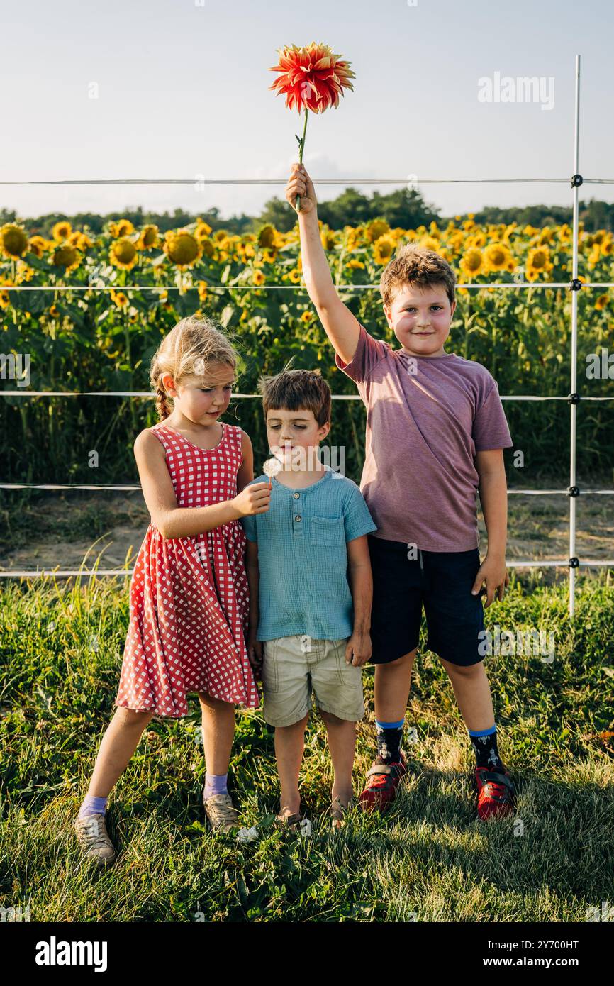 Drei Kinder stehen vor einem Sonnenblumenfeld Stockfoto