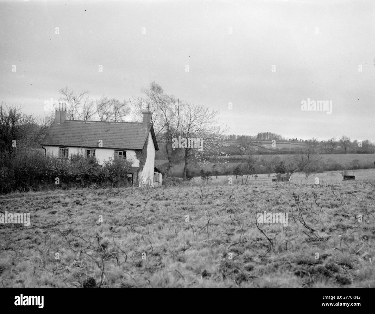 Die POLIZEI DURCHSUCHT DAS LONELY COTTAGE Hays Cottage , sechs Meilen von Honiton , Devon , nach Hinweisen zum Verbleib des 64-jährigen Richard Rhod Swann aus Ruislip , Middlesex . Swann , ein ehemaliger Teehändler , soll vor 19 Monaten verschwunden sein . Die Suchenden im Cottage arbeiten geheim. DAS BILD ZEIGT :- BUCE HAYS COTTAGE in der einsamen Landschaft von Devon . 25. April 1949 Stockfoto