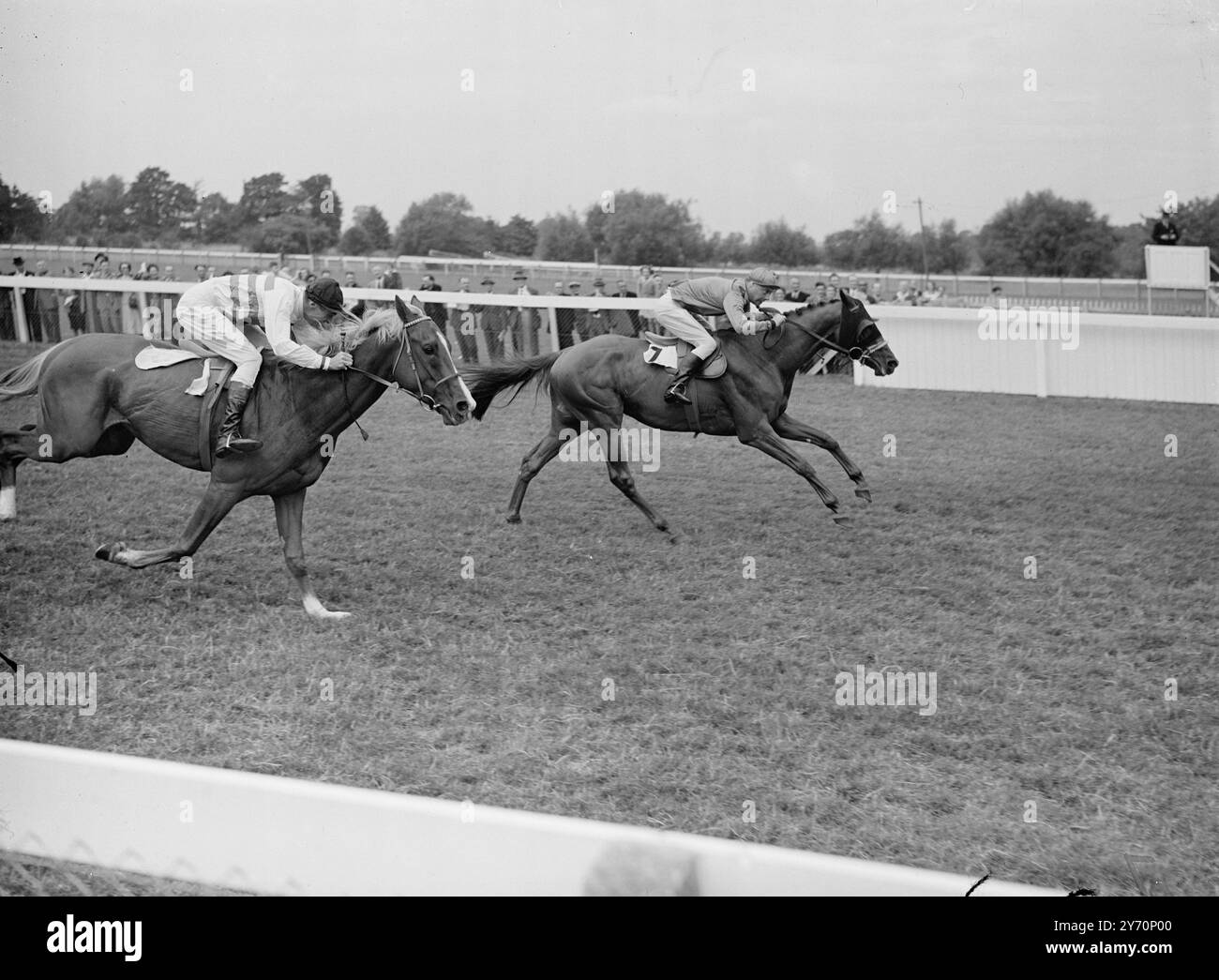 WIEDERHOLUNGSLEISTUNG MR. JOHN HISLOP , der letztes Jahr das gleiche Rennen gewann , gewann heute das Windsor Amateur Riders Handicap in Windsor auf Sir William Cookes PAPIST . Die nächste Kamera ist MR. E. UNDERDOWN , zu Frau . V. Smiths Pferd REED MACE wurde Zweiter . Herr . David Bakers Romano, geritten von Mr. A. Parker war Dritter . August 1949 Stockfoto