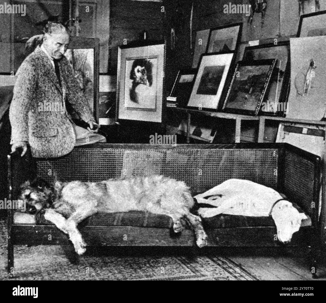 Mr. Cecil Aldin mit zwei seiner Lieblingshunde Mickey , dem irischen Wolfhound , und Cracker , dem Bullterrier , schlafen ( oder posieren ) im Studio . 21. Dezember 1929 Stockfoto