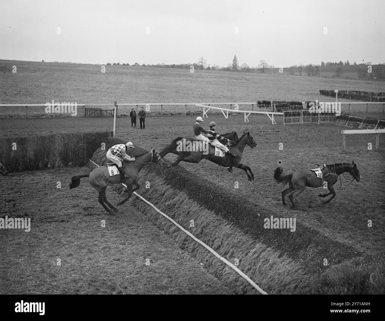 KEIN JOCKEY, ABER TROTZDEM SPIELEN SIE die Szene auf der Heimstrecke in der Felcourt Handicap Turmjase in Lingfield , als Winchcombe ohne seinen Jockey allein anpresst . SECCOTINE , der auf Platz 2 gesetzt wurde ( Nr.18 ) , wird beim Sprung gesehen , während BORDER KNIGHT , der Dritter war , sich auf den Sprung vorbereitet . 14. Januar 1949 Stockfoto