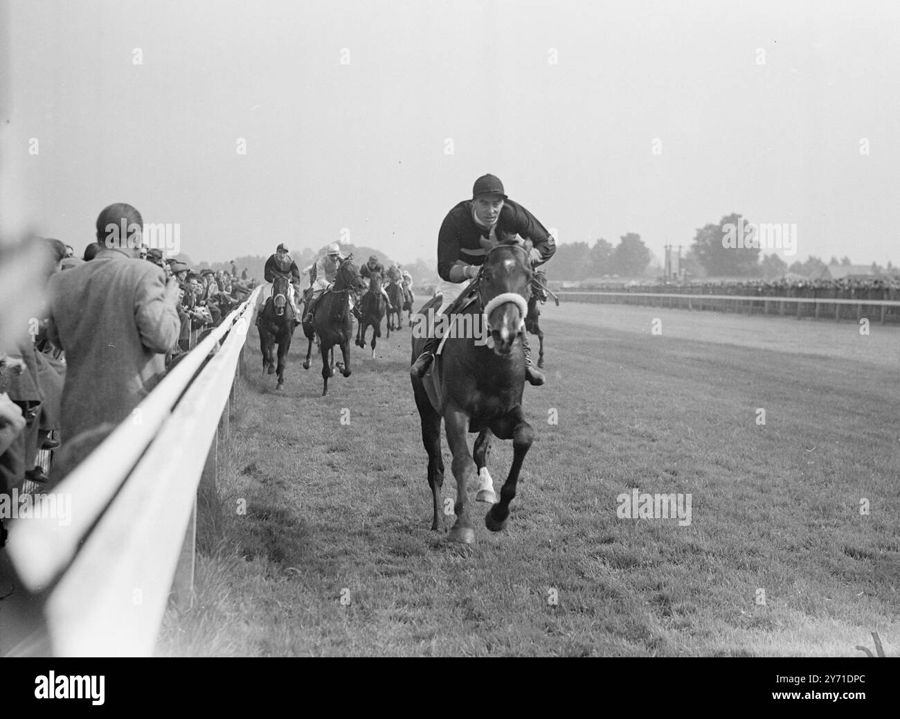 "TORMIE " gewinnt FULWELL STAKES Mr. Mark Ostrer ' s ' Tormie ' , (C.. ELLIOT UP) gewinnt heute die Fulwell Stakes beim Frühjahrstreffen im Kempton Park. Lord Astors 'Goldene Hochzeit' (G. Richards oben) kommt auf den zweiten Platz, mit Mr. R. Middlesmas' 'Ravenswood', (Littlewood Up), Dritter. Mai 1948 Stockfoto