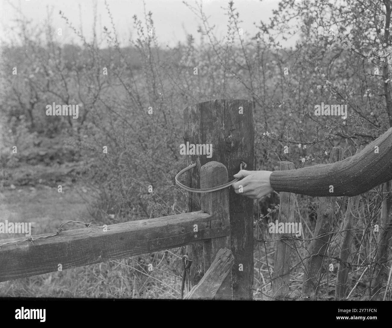 Torbefestigung. c. 1940 Stockfoto